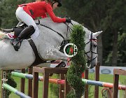 Muller U Tabasca CsioArJYR SS7 8381 : CSIO Giovani Arezzo, Muller Chantal, U Tabasca, foto Stefano Secchi ©